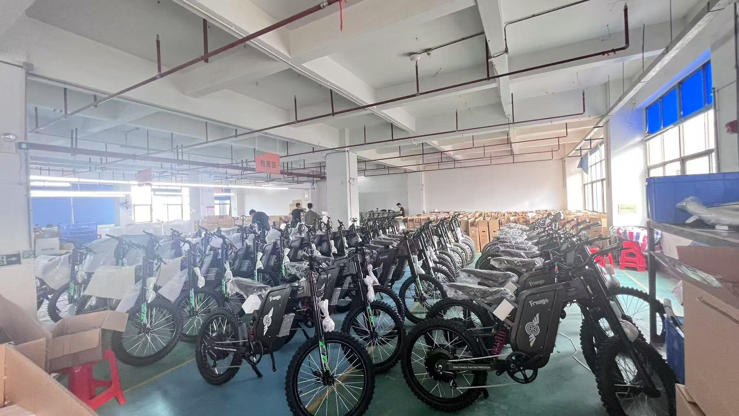 Freego X2 Pro electric bike