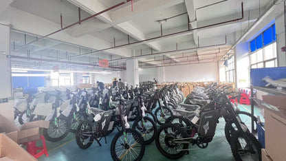 Freego X2 Pro electric bike