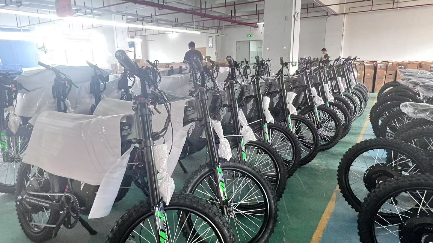 Freego X2 Pro electric bike