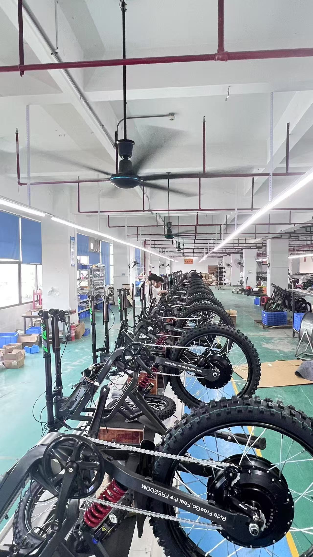 Freego X2 Pro electric bike