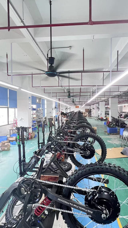 Freego X2 Pro electric bike