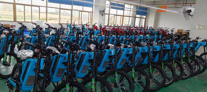 Freego X2 Pro electric bike