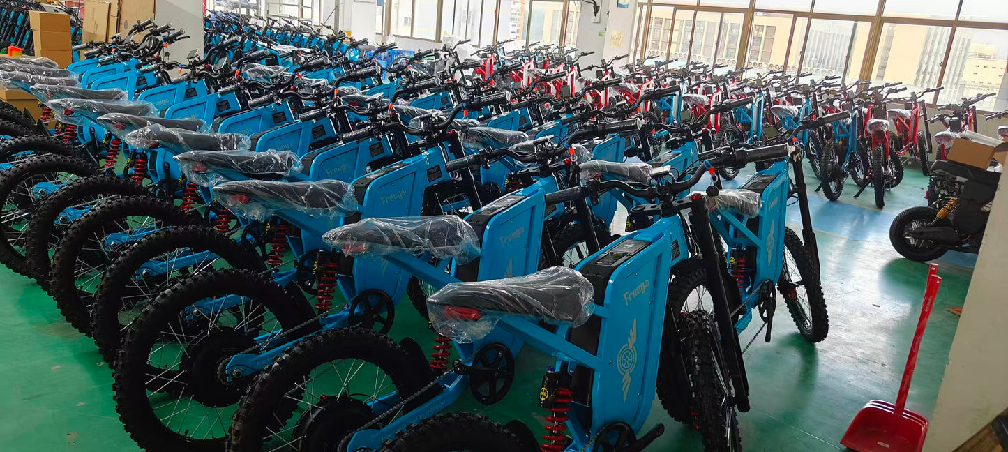 Freego X2 Pro electric bike