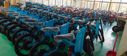 Freego X2 Pro electric bike