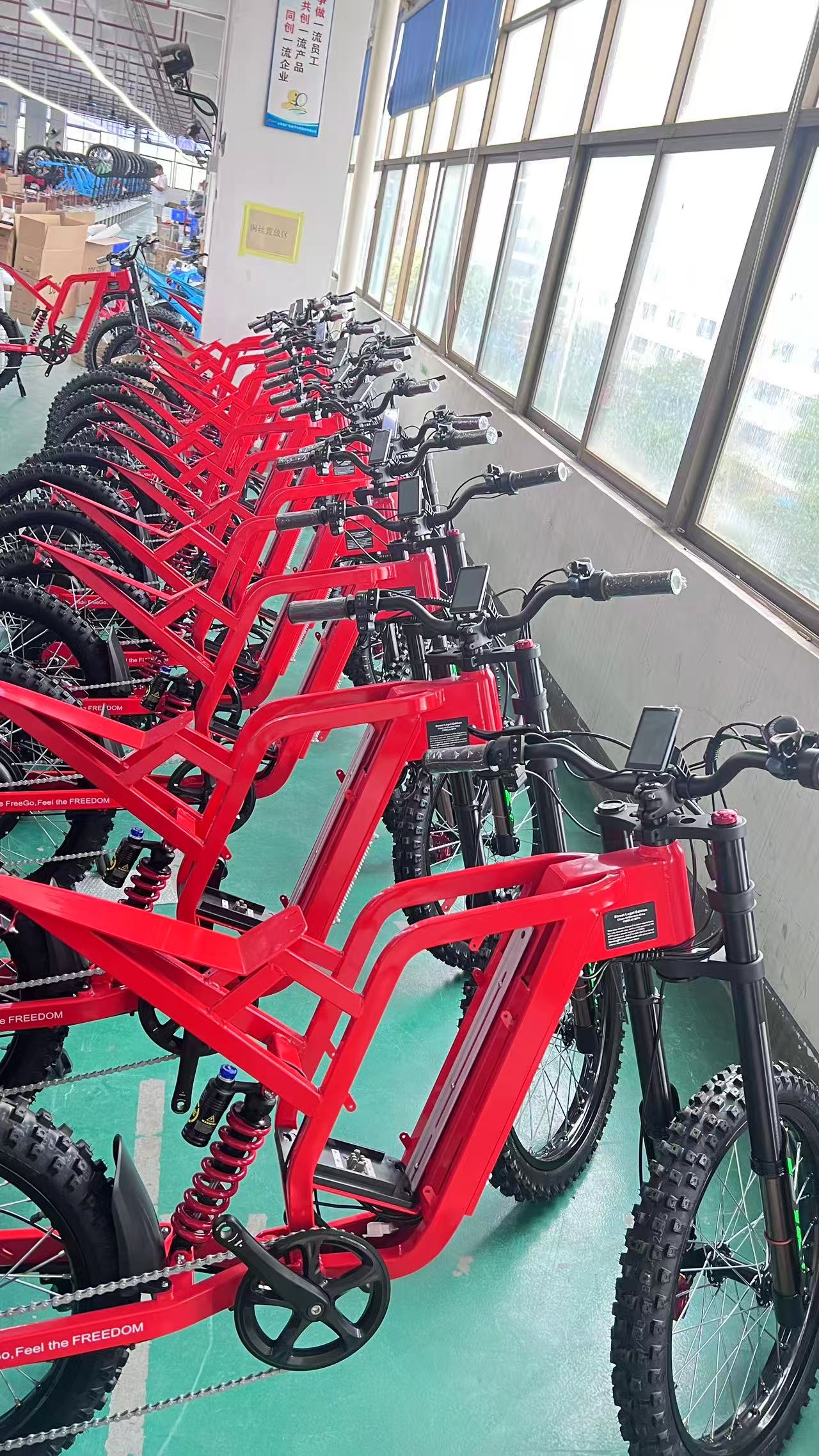 Freego X2 Pro electric bike