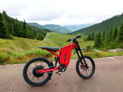 Freego X2 Pro electric bike