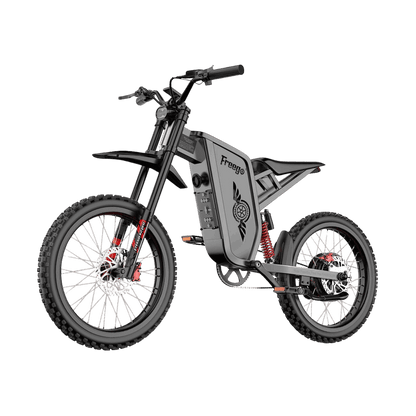 Freego X2 Pro electric bike